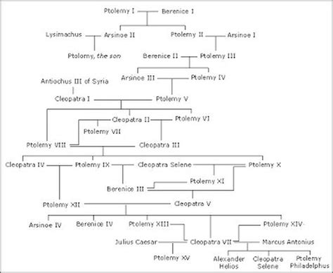 Family Tree - Cleopatra