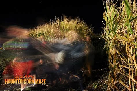 Looking for a Scary Corn Maze? 13 Best Haunted Corn Mazes in the USA