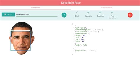 Face Detection using Web cam - BaseApp Systems