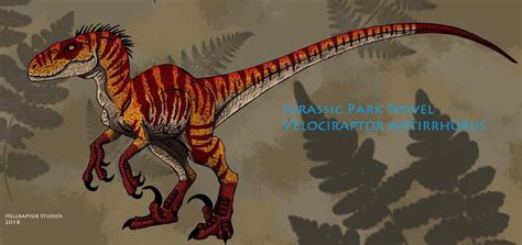 Jurassic Park Novel: Velociraptor ( updated !) by HellraptorStudios on DeviantArt | Jurassic ...