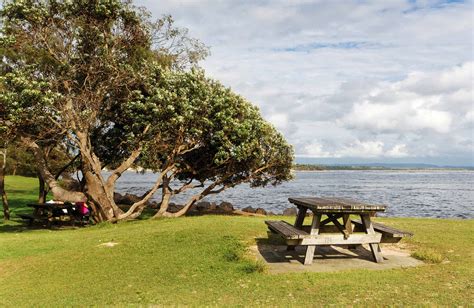 Woody Head campground | NSW National Parks