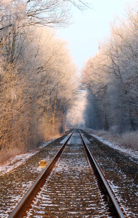 Free Images : water, winter, track, railway, bridge, sunlight, morning, lake, walkway ...