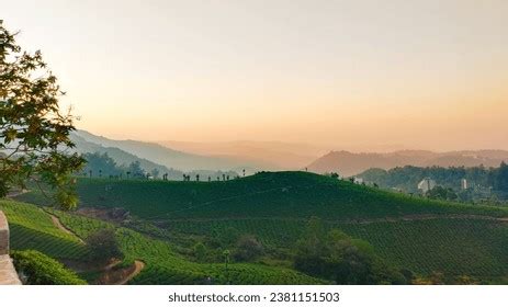 18,171 Munnar Hills Images, Stock Photos, 3D objects, & Vectors ...