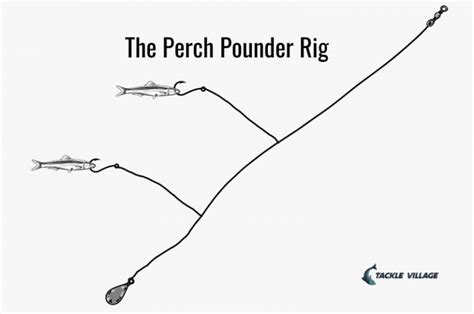 The Best Perch Rigs: 7 Great Set-Ups to Boost Your Catch