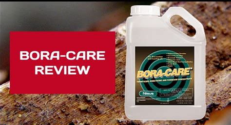 Bora-Care Termite Treatment Review: How It Compares to Termidor