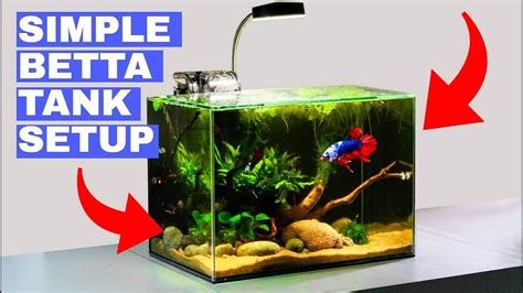 Pretty Betta Fish Tanks