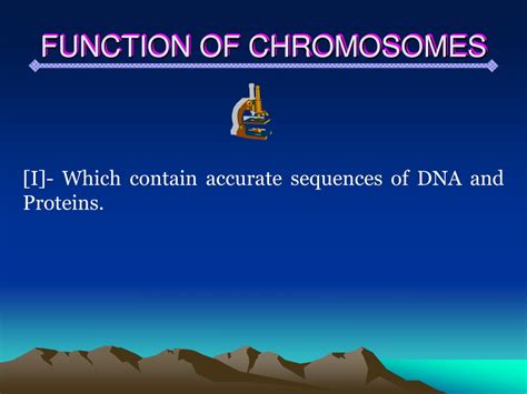 PPT - STRUCTURE AND FUNCTION OF CHROMOSOMES PowerPoint Presentation ...