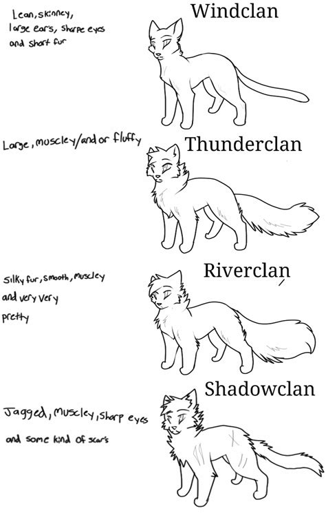 Pin by yok yok on cat drawing reference | Warrior cats clans, Warrior ...