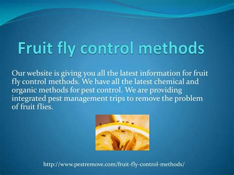 PPT - FRUIT FLY CONTROL METHODS PowerPoint Presentation, free download ...