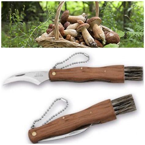 Mushroom knife folding with brush and stainless steel blade