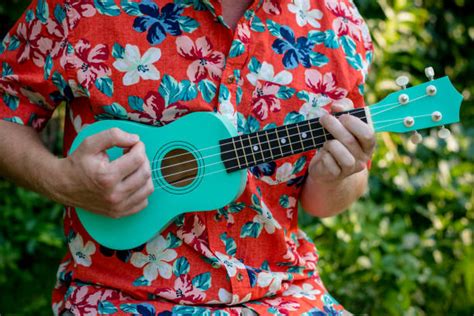 21,600+ Ukulele Stock Photos, Pictures & Royalty-Free Images - iStock