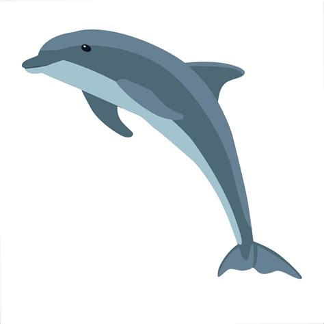 Clipart Dolphins