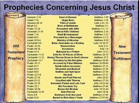 35 best "Exploring God's Word" Bible Study Charts images on Pinterest | Bible scriptures, Jesus ...