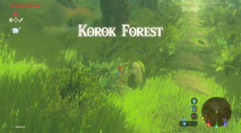 Korok Forest And Kakariko Village Swapped Places In The Legend Of Zelda ...