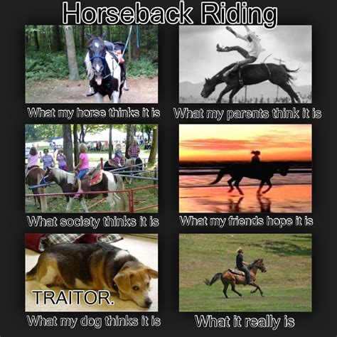 Horseback Riding interpretations. (Minus the what my parents think it ...