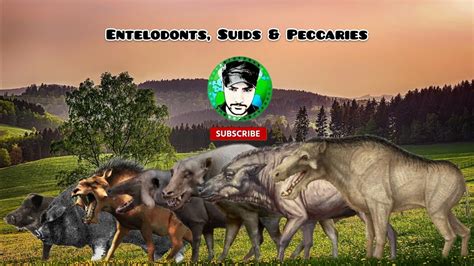 Entelodont Size