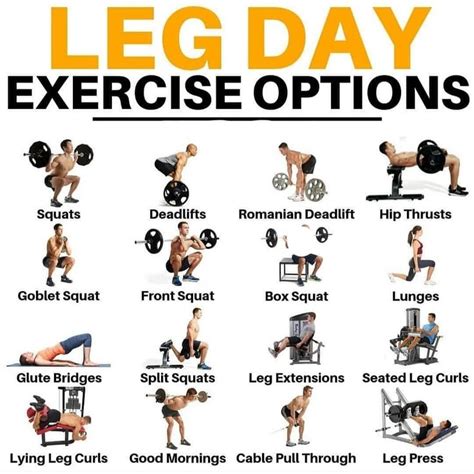 Leg Day Options | Gym workouts for men, Leg workouts for men, Best leg workout