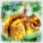 Squirrel, Watercolor, Digital Art Free Stock Photo - Public Domain Pictures