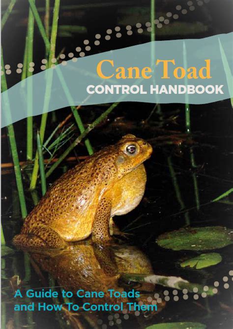 Cane Toad Control on the Containment Line — BRRVLN