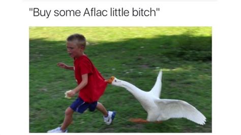 aflac : r/memes