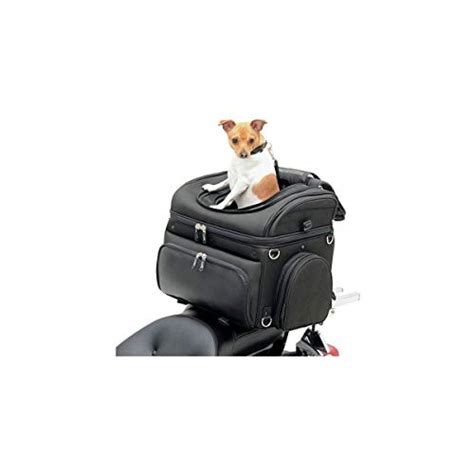 7 Best Dog Carriers for Motorcycles [2021 Reviews]