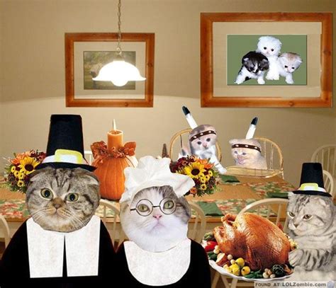 Thanksgiving With The Cats