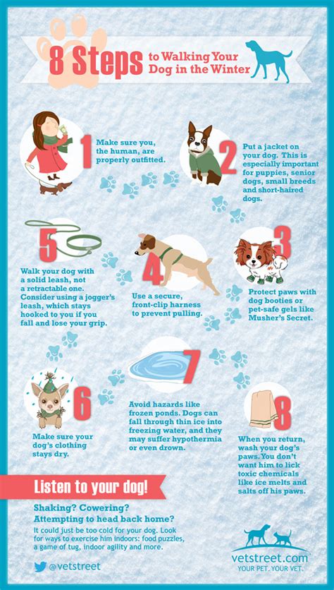 8 Steps to Walking the Dog in the Winter - Infographic