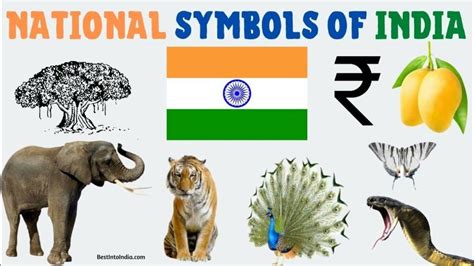 National Symbols Of India | Indian National Symbols | National Symbols ...