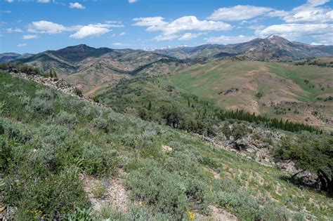 Jarbidge Wilderness | CK Outside