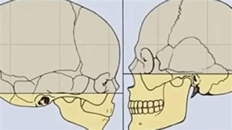 People are ‘becoming less attractive’, facial analyst explains why ...