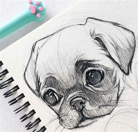 Help For drawing ideas #drawingideas | Animal sketches, Drawing ...