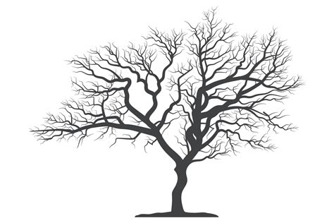 Scary dead tree silhouette image 5591621 Vector Art at Vecteezy