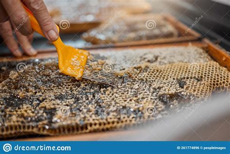 Honey, Frame and Closeup of Scrape Tools for Bee Farming, Agriculture or Food in Beekeeping ...