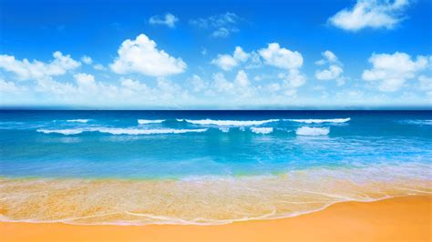 Brown sand and blue water - Summer holiday