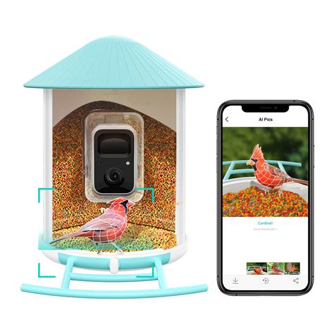 Bird Feeder Camera Outdoor Netvue Birdfy Smart Bird Feeder for Bird Watching, Capture Images ...