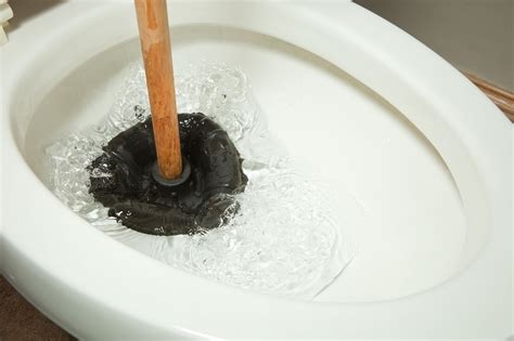 How To Unclog A Toilet With Poop Still In It | Storables