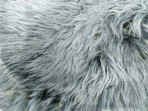 Sheepskin Rug Texture Free Stock Photo - Public Domain Pictures