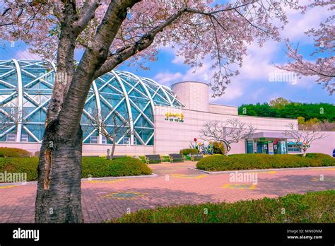 Beautiful Ulsan Grand Park during Spring season, South Korea. Colorful ...