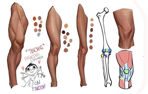 최소진[TB Choi] : 네이버 카페 | Anatomy reference, Leg anatomy, Drawing legs