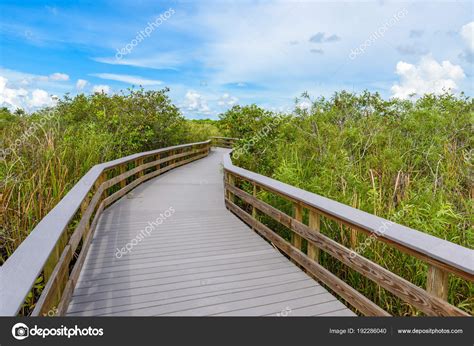 Anhinga Trail Everglades National Park Florida Usa Stock Photo by ...