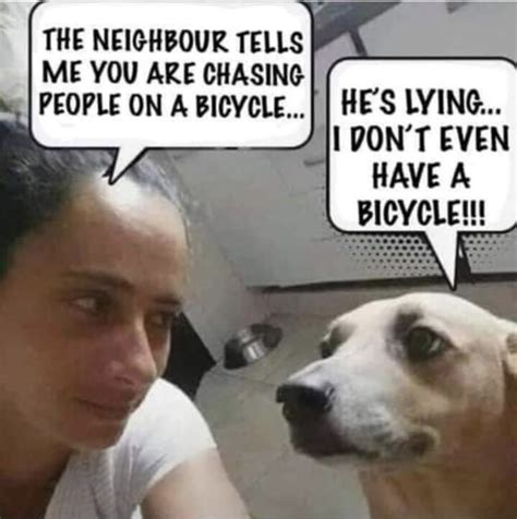 A Funny Dog & Bicycling Meme - Bike Forums