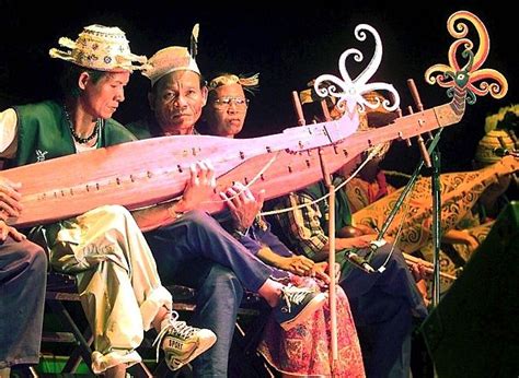 A Sarawak musical instrument the sapeis a traditional lute of the Orang ...