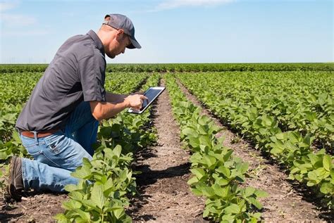 Agriculture Software - Best Products, Drones And Accounting Advantages