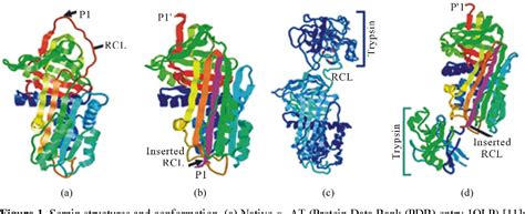 Figure 1 from New Caspases’ inhibitors belonging to the serpin superfamily: A novel key control ...