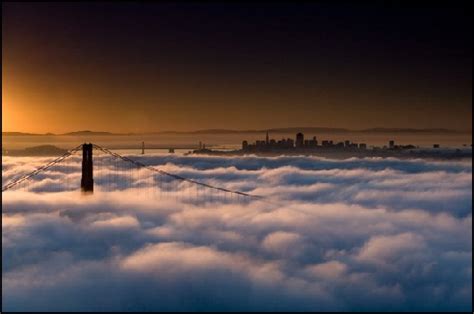 Fog Photography Examples