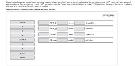 Solved Mendel crossed peas having round seeds and yellow | Chegg.com