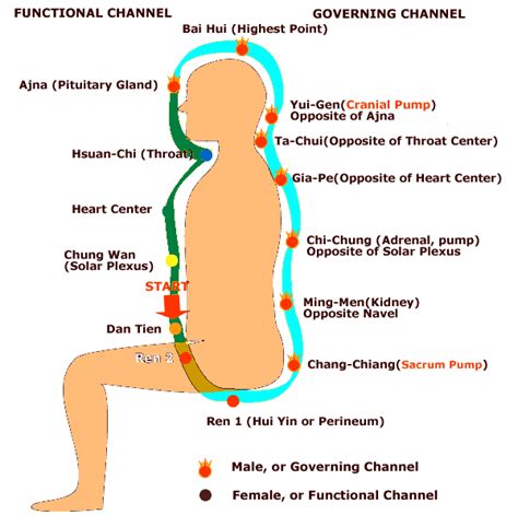 Global Holistic Motivators: Technique:Microcosmic Orbit Meditation