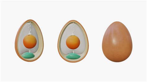 Anatomy Of Bird Egg Model - TurboSquid 2035236