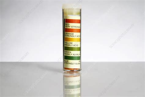 Universal indicator paper - Stock Image - F031/5537 - Science Photo Library