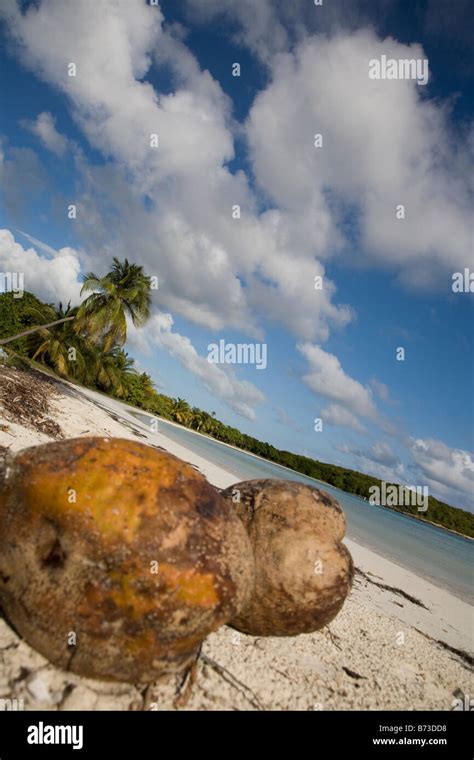 Vieques Puerto Rico Stock Photo - Alamy